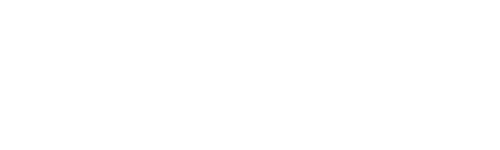 Birdie logo