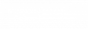 Birdie Microsoft Partner Cloud Platform, Application Development, Application Integration en Chile