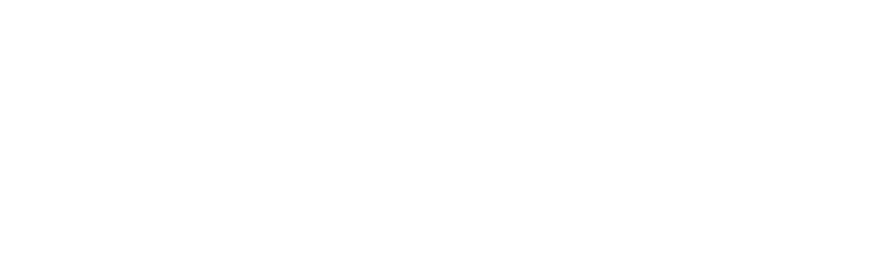 Birdie logo