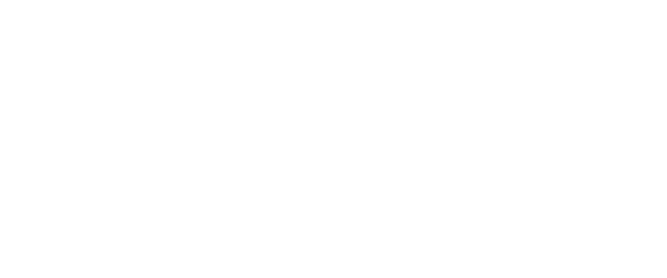 Birdie logo